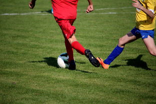 MK手机客户端-国际足球俱乐部青训论坛在广州召开，国际足联青训补偿标准