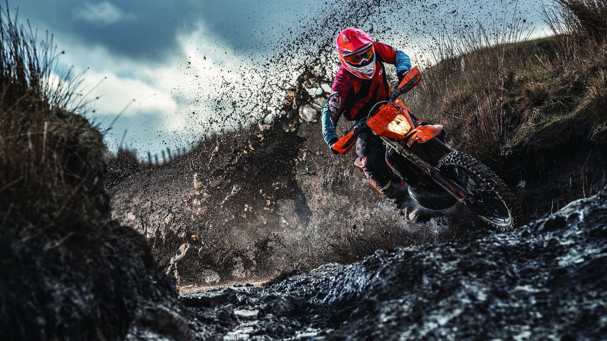 混合泳项目德国排名上升明显,混合泳比赛